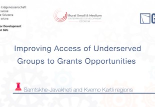 Improving Access of Underserved Groups to Grants Opportunities